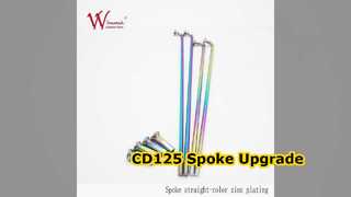 Conjunto de raios de motocicleta CD125 em aço torcido