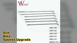 Conjunto de raios de bicicleta suja 196 mm A9G atacado